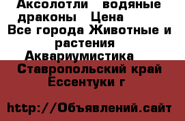 Аксолотли / водяные драконы › Цена ­ 500 - Все города Животные и растения » Аквариумистика   . Ставропольский край,Ессентуки г.